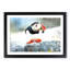 Atlantic Puffin - Picture Frame Painting Print-56633222-56633224
