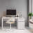 Arden Metal Desk Lamp Lamp