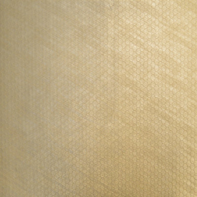 Tissu de colon