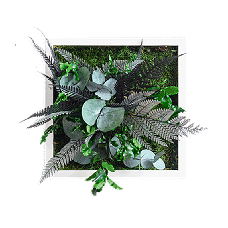 Plants & Flowers Wall Decor