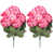 Rose sélectionné
