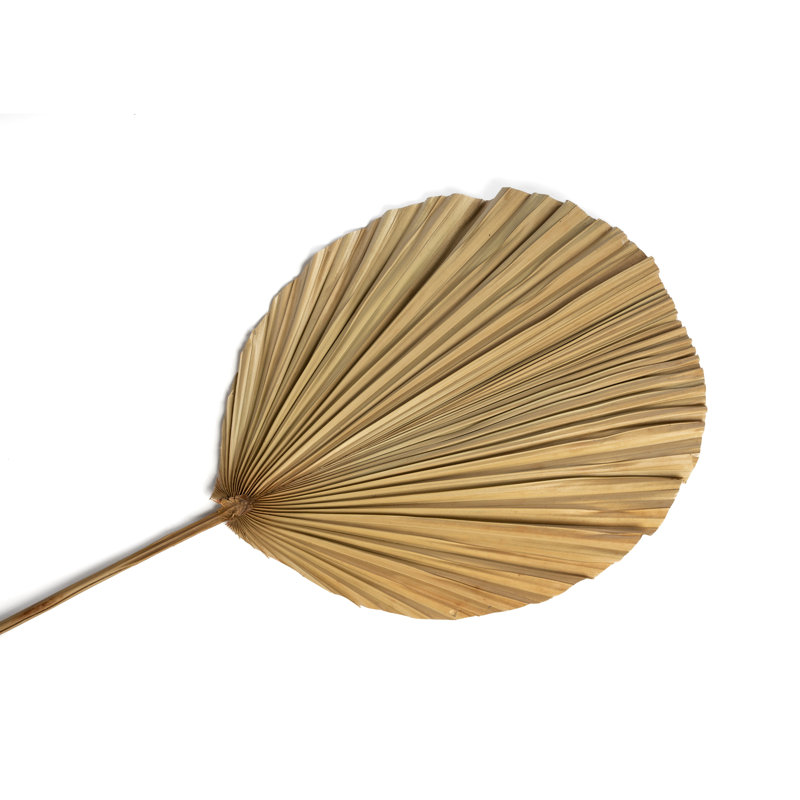 Wall Decor on Rattan