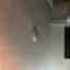 Photos des clients 2 de 3