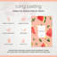 Brooklyn Fragrance Co-Fruits - Parfums d'ambiance Sachets: Arôme durable de qualité supérieure-109490952