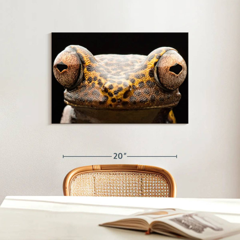 Brampt Tree Frog Eyes, 16" H x 24" W