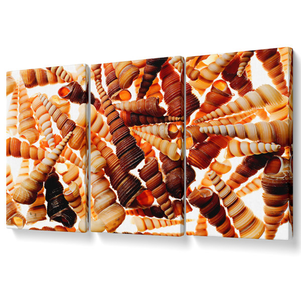 Highland Dunes Shells Canvas 3 Panel Set | Wayfair.co.uk