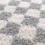 Renotta Chequered Shag Area Rug-1287151872