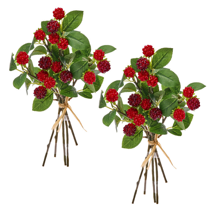 Ensemble de 11 po framboise sauvage 