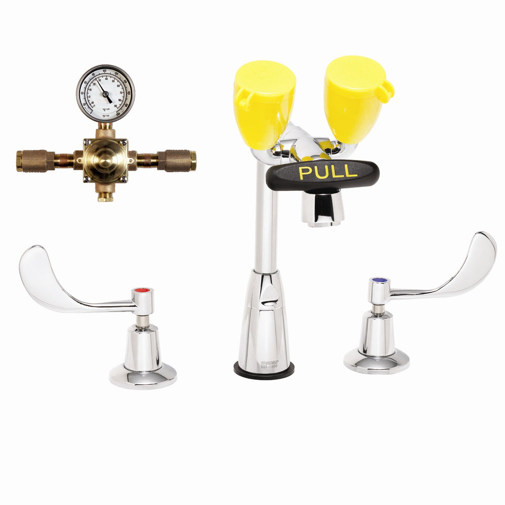 EyeSaver Speakman Eye Wash Station Speakman Optional Accessories: With Thermostatic Mixing Valve