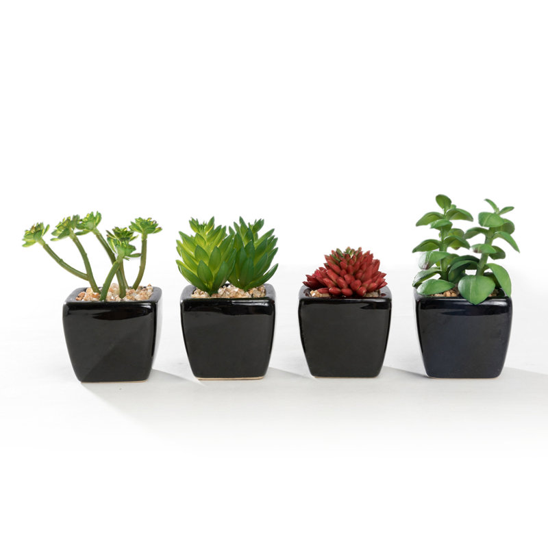 Faux Succulent Plant in Ceramic Pot