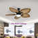 Tenisha 52'' Ceiling Fan with LED Lights