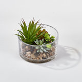 4'' Faux Succulent Plant in Glass Vase