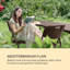 Burgos Folding Patio Dining Side Chair