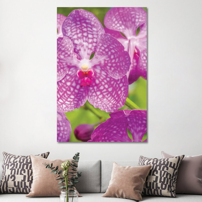 Garden by Panoramic Images - Wrapped Canvas Print, Wrapped Canvas, 66.04 cm H x 45.72 cm W x 3.175 cm D