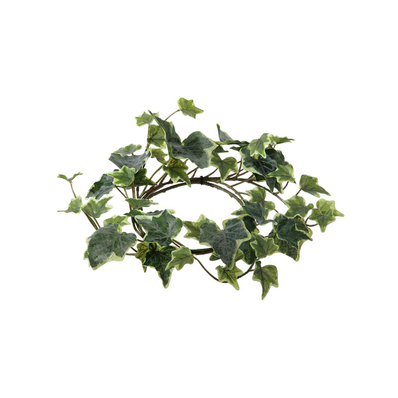 Anneau de lierre anglais 8 po, Vert panaché