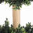 Primrue Set of Two Hedyotis Artificial Trees