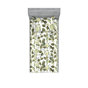 Vert pistache, blanc / floral