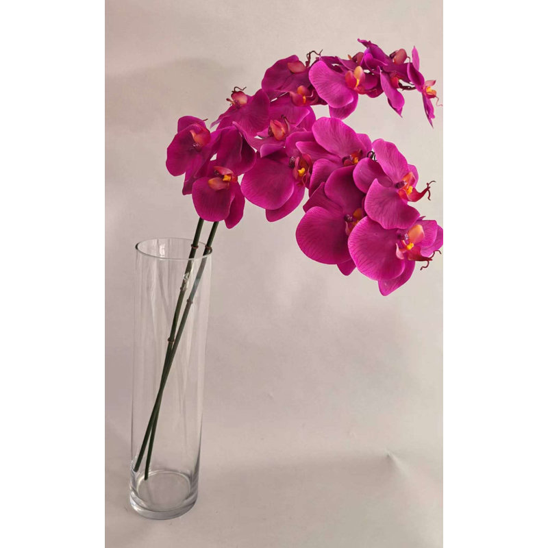 ORCHIDÉE FRESH-TOUCH NAT.TCH PHA. X8F 31 po, Hot Pink