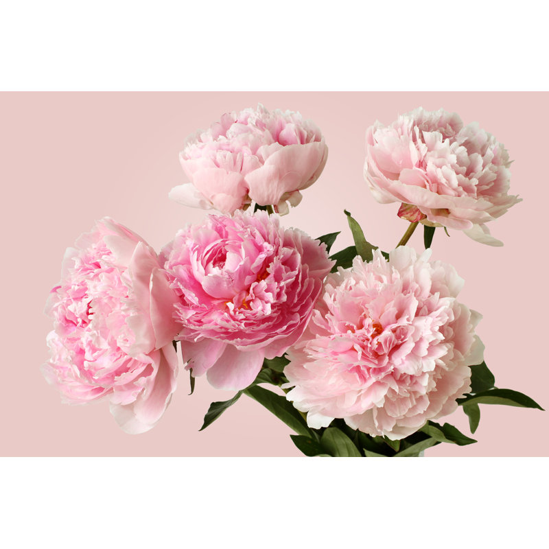 Bouquet Of Pink Peonies - Wrapped Canvas Print, 20cm H x 30cm W