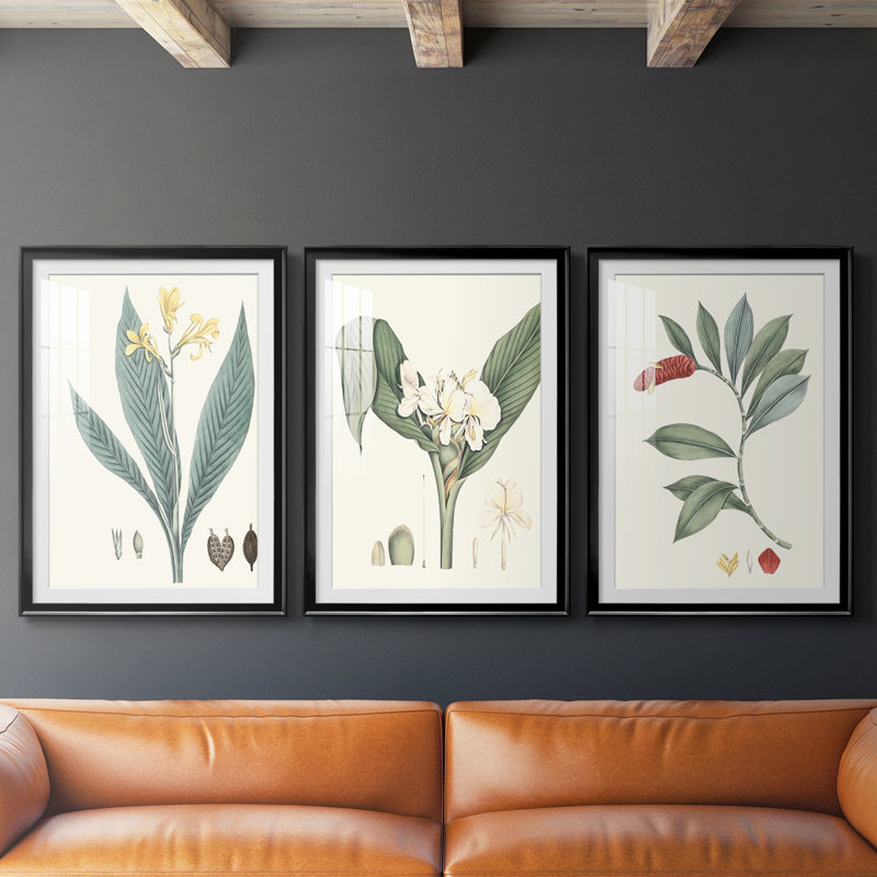 Soft Tropical IV - reproduction encadrée sur mesure de qualité supérieure mate - 3 pièces, Noir, H 21 po x l 30 po