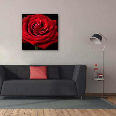 Red Rose 02 par Tom Quartermaine