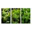 «Green Fern Fond», 3 pièces sur toile-1781112115-1781112113