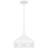 Keagan 1-Light Pendant Light-100486187