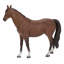 Cheval debout
