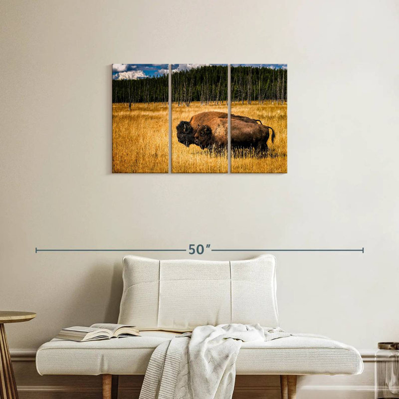 Brampt Bison In Summer, 20" H x 33" W
