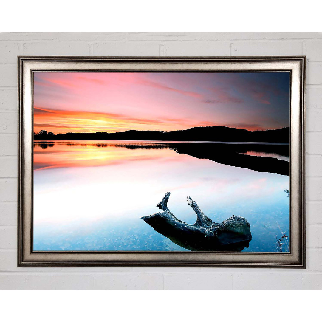 Gerahmtes Poster Driftwood In The Tranquil Ocean