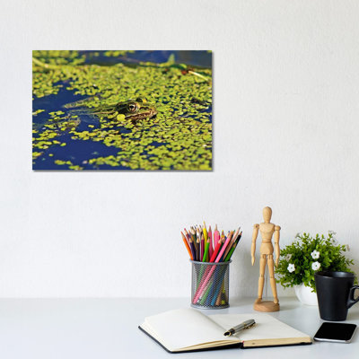 Camoflouged 1 Piece Wrapped Canvas Wall Art