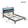 Dajai Upholstered Bed