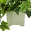 Nunez Faux Ivy Plant in Ceramic Pot