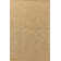 Ebern Designs Malpass Wheat / Ivory Area Rug