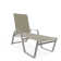 Holna Outdoor Rust-Resistant Metal Chaise Lounge