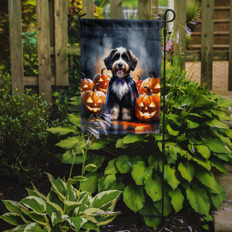 Drapeau de jardin chiot Halloween, Bernedoodle