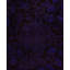 Overdyed One-of-a-Kind 9' 3" X 12' 8" Hand Knotted Area Rug