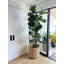 Birch Lane™ Seagrass Decorative Basket