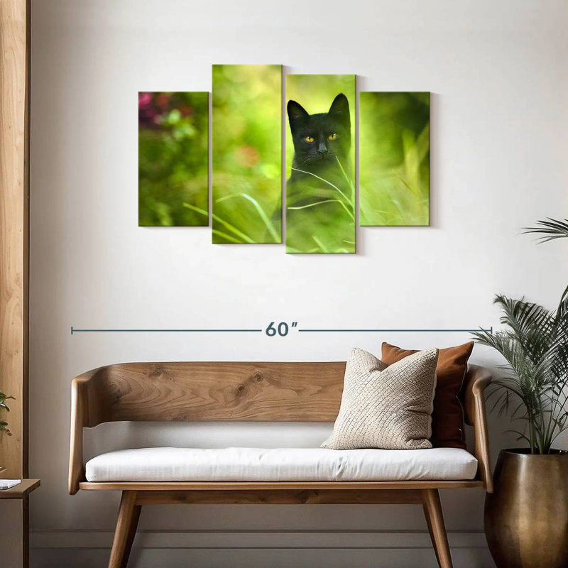 Chat noir sérieux