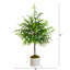Arbre de Noël pin 3 '