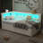 Stylish Twin Platform Bed with USB and LED, Extra Storage Options-585734732