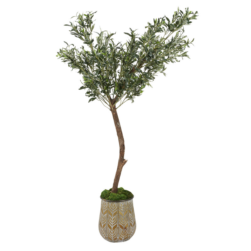 Olive en pot rond en métal
