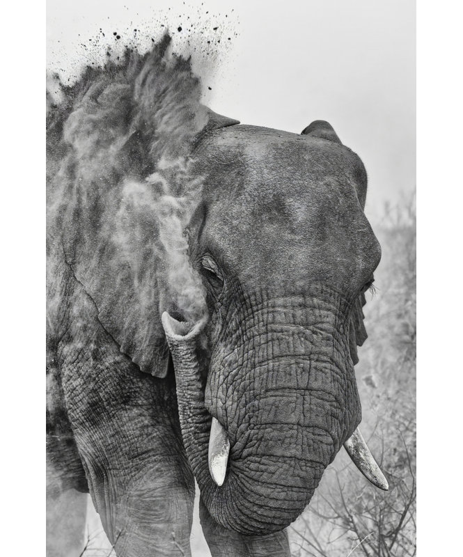 Wrapped Canvas Print, 76.2 cm H x 50.8 cm W