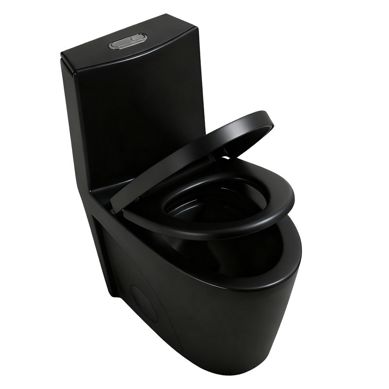 1.1/1.60 GPF Dual-Flush One Piece Toilet, Water-Saving Elongated Comfort Height Floor Mounted, Soft Closing Seat, 1000 Gram Map Flushing Score Toilet