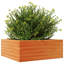Amiela Planter Box-918828477-918828468