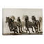 Horse by Heidi Bartsch - Wrapped Canvas Print-1897476554