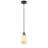 1-Matte black iron dimmable glass pendant light