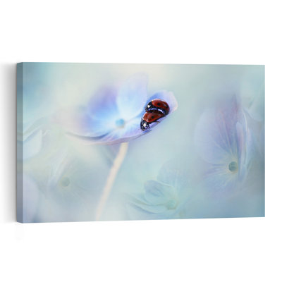 Ladybugs On Blue Hydrangea Delicate Dreamy Ethereal Ladybug Hydrangea Flower Nature Wall Art Print - Print