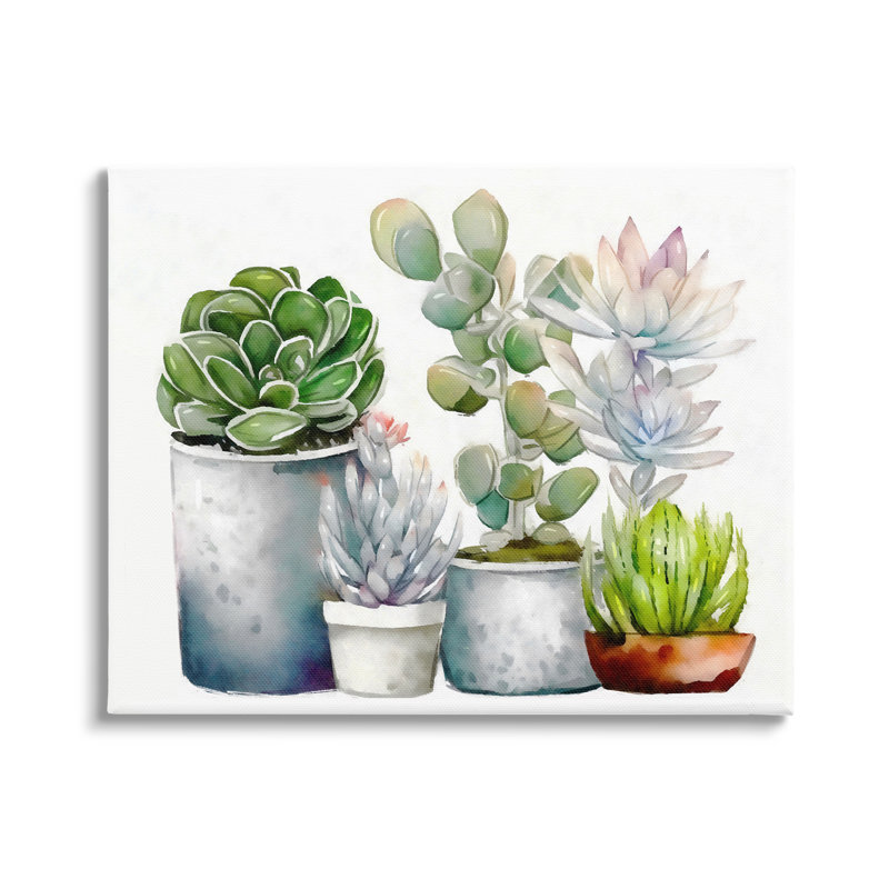 Au-770-Canvas " Mixed Botanicals Floral Succulents " by Ziwei Li, 16" H x 20" W x 1.5" D