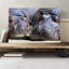 Two Hippos Hippopotamus - Wrapped Canvas Print-19093019